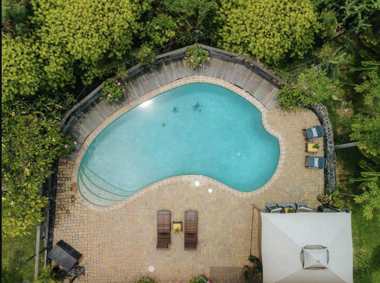 The Koi House With Pool Apartment Kailua-Kona Exterior foto